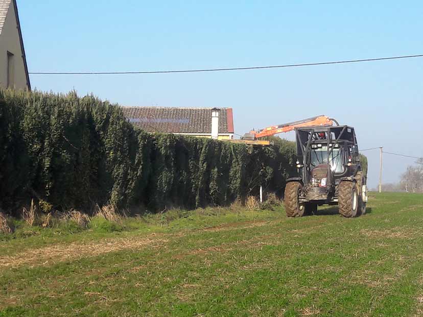 Taille haie avec tracteur